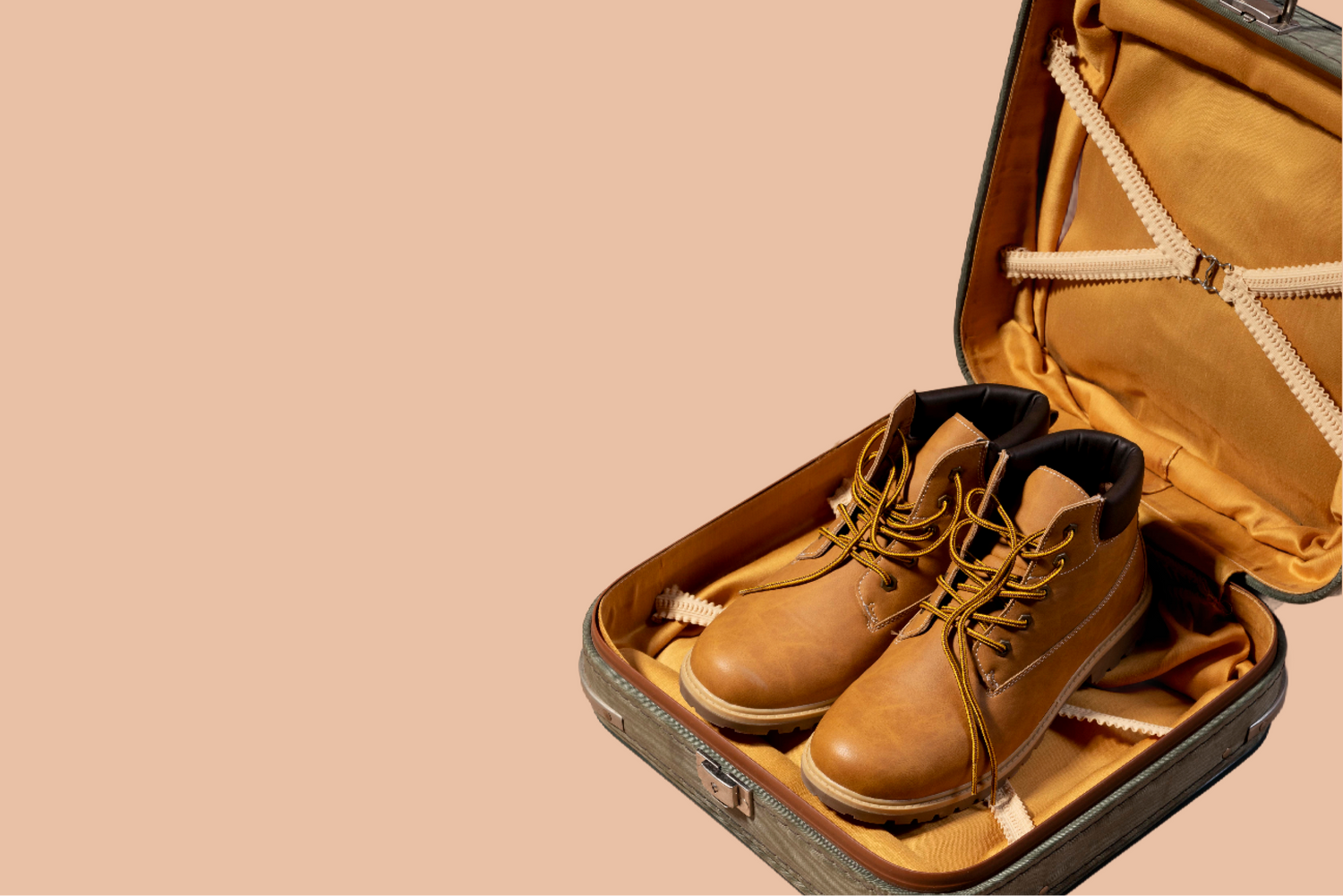 Sneaker Guards