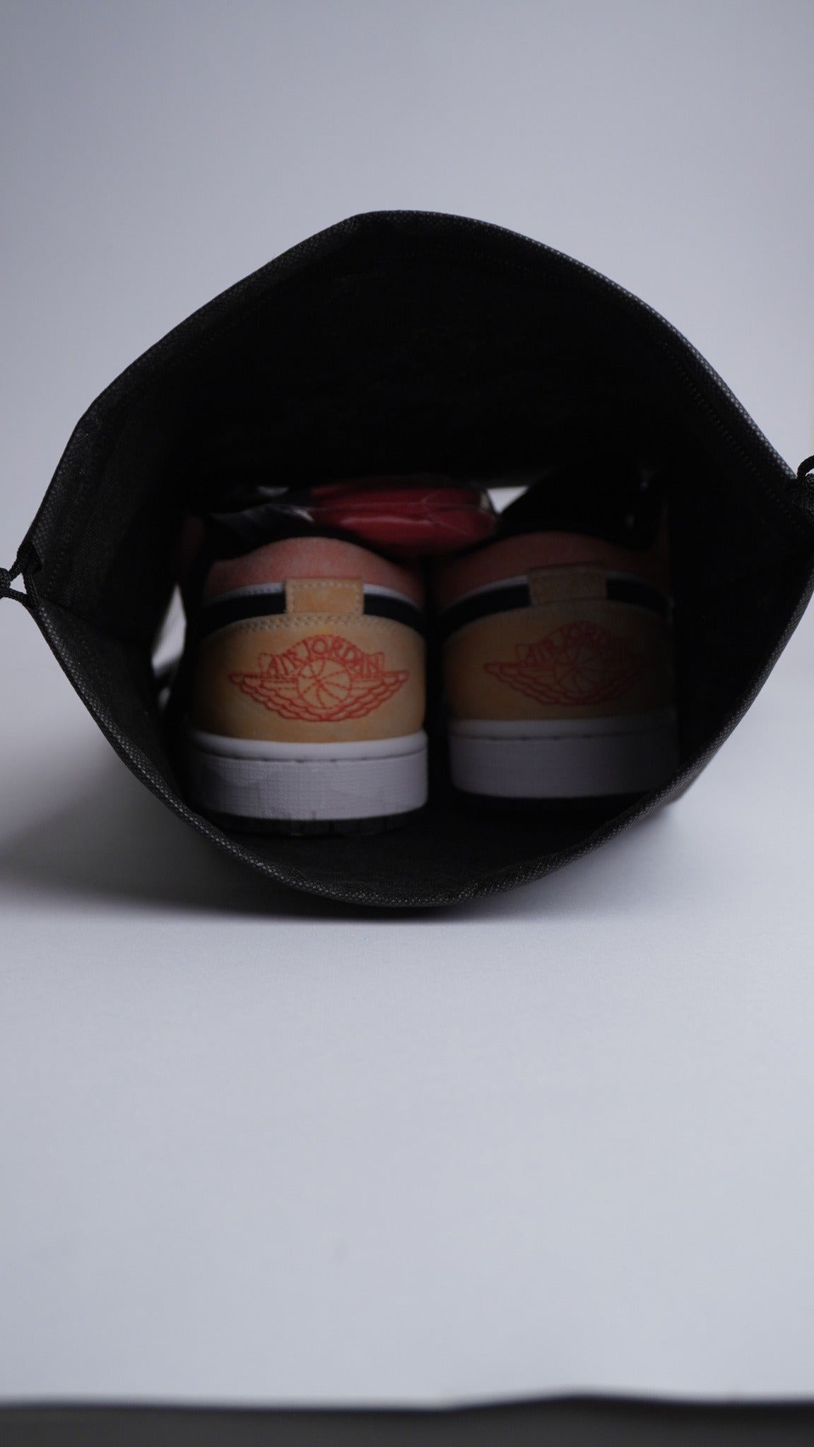 Travel Sneaker Bags